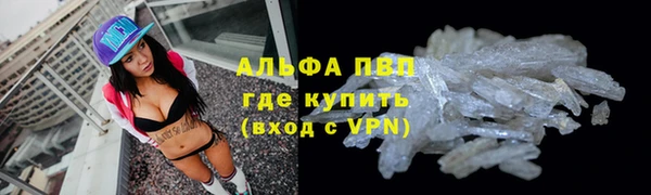 PSILOCYBIN Пролетарск