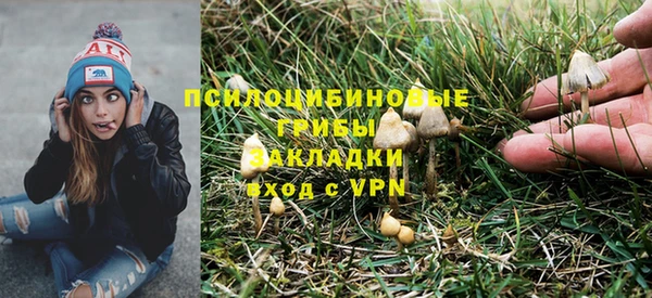 МДПВ Алексеевка
