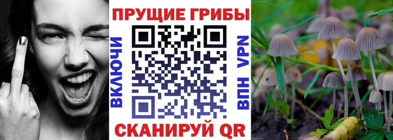 Псилоцибиновые грибы прущие грибы Долинск